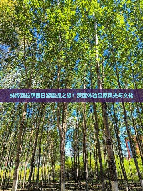 蚌埠到西藏拉萨四日游