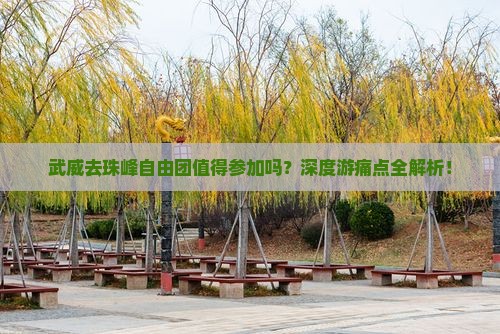 武威去西藏珠峰大本营自由团