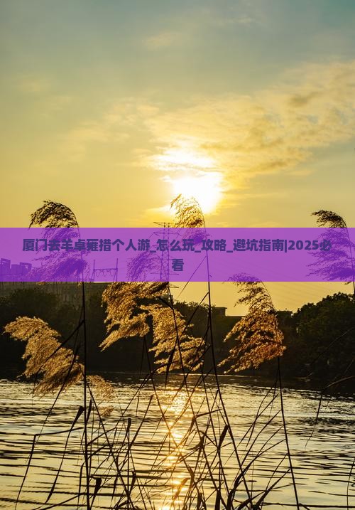 厦门去西藏羊卓雍措个人游 厦门去西藏羊卓雍措个人游