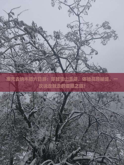 南充去西藏纳木措六日游