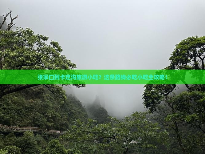 张家口到西藏卡定沟旅游小吃