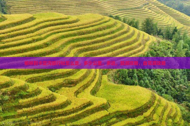 榆林到西藏卡定沟旅行社