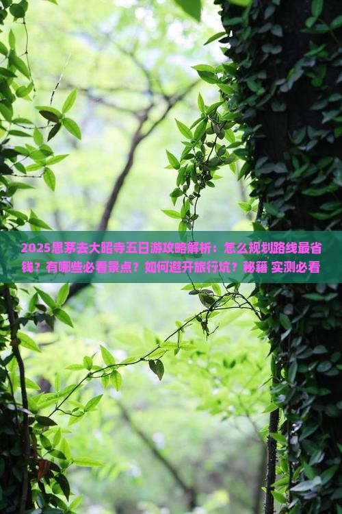 思茅去西藏大昭寺五日游