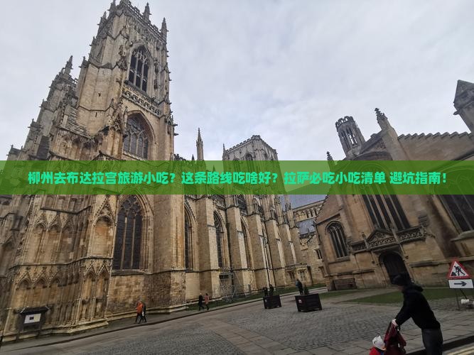 柳州去西藏布达拉宫旅游小吃