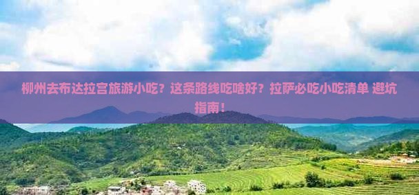 柳州去西藏布达拉宫旅游小吃