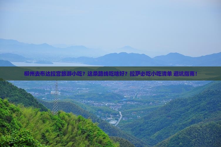 柳州去西藏布达拉宫旅游小吃