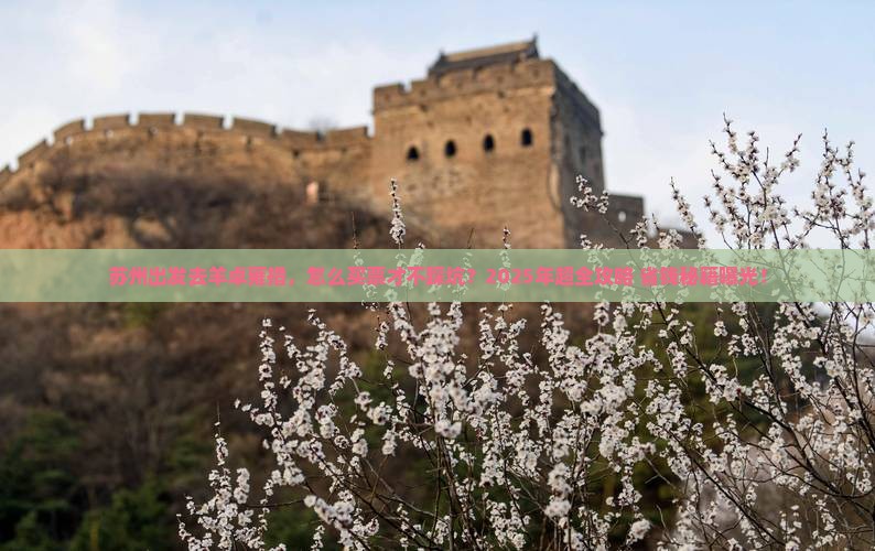 苏州去西藏羊卓雍措门票