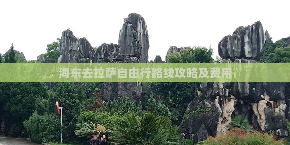 海东去西藏拉萨自由行