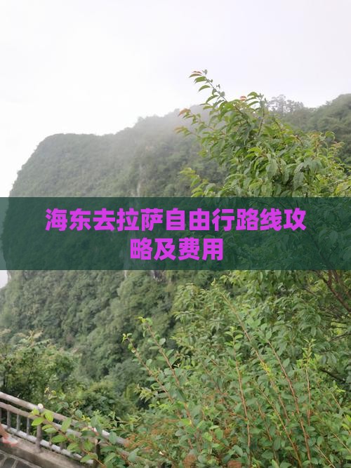 海东去西藏拉萨自由行