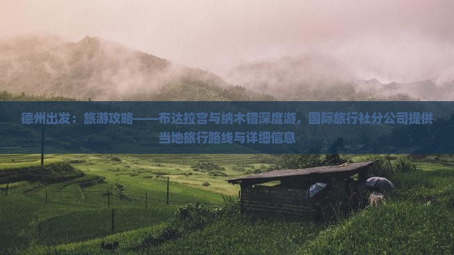 德州出发：旅游攻略——布达拉宫与纳木错深度游，国际旅行社分公司提供当地旅行路线与详细信息