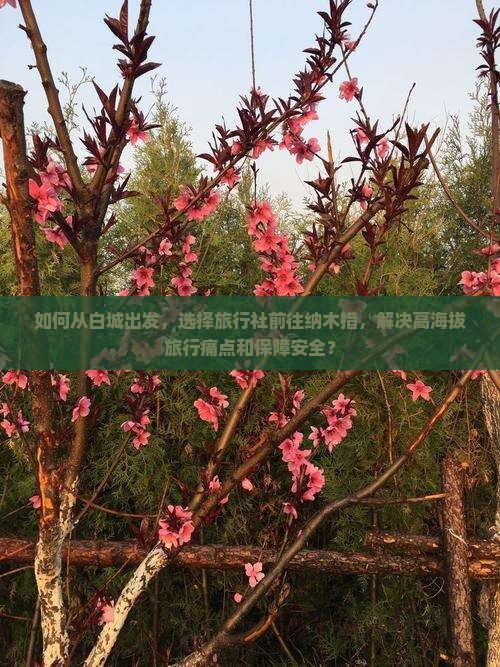 如何从白城出发，选择旅行社前往纳木措，解决高海拔旅行痛点和保障安全？
