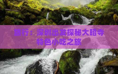 旅行：深圳出发探秘大昭寺特色小吃之旅