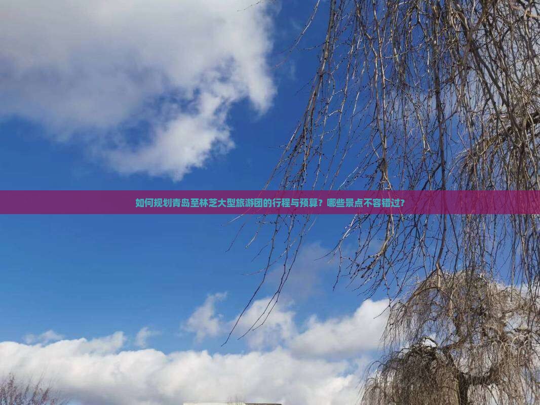 如何规划青岛至林芝大型旅游团的行程与预算？哪些景点不容错过？