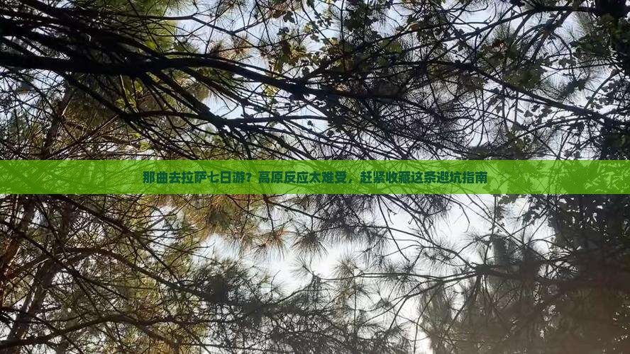 那曲去拉萨七日游？高原反应太难受，赶紧收藏这条避坑指南