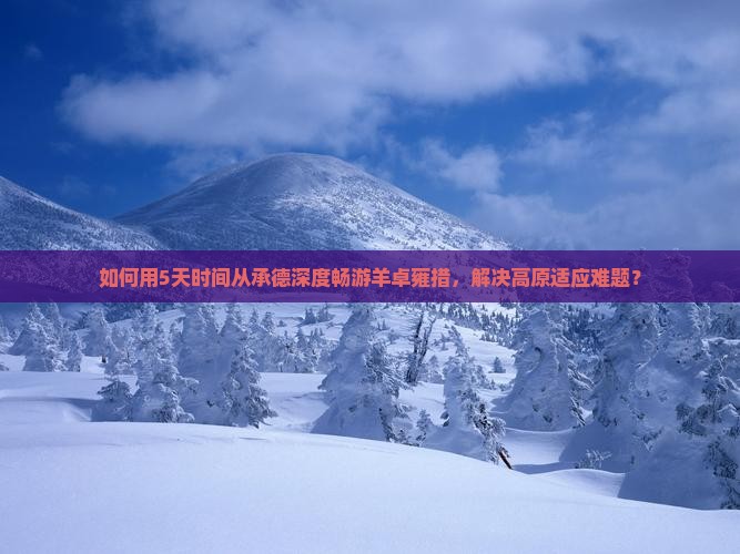 如何用5天时间从承德深度畅游羊卓雍措，解决高原适应难题？