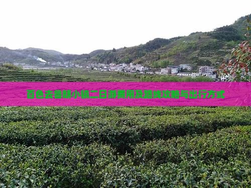 百色去鲁朗小镇二日游费用及路线攻略与出行方式