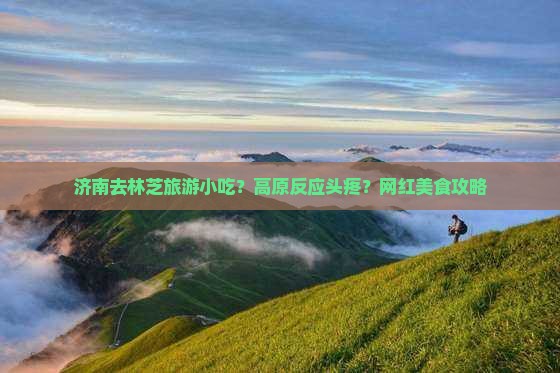 济南去林芝旅游小吃？高原反应头疼？网红美食攻略