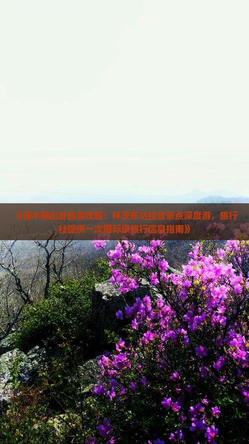 《佳木斯出发旅游攻略：林芝布达拉宫景点深度游，旅行社提供一次国际级旅行信息指南》