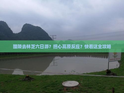 醴陵去林芝六日游？担心高原反应？快看这全攻略