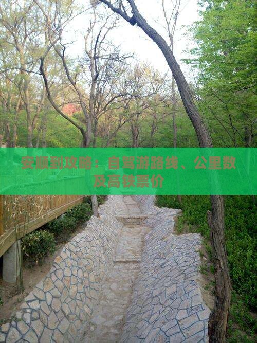 安顺到攻略：自驾游路线、公里数及高铁票价