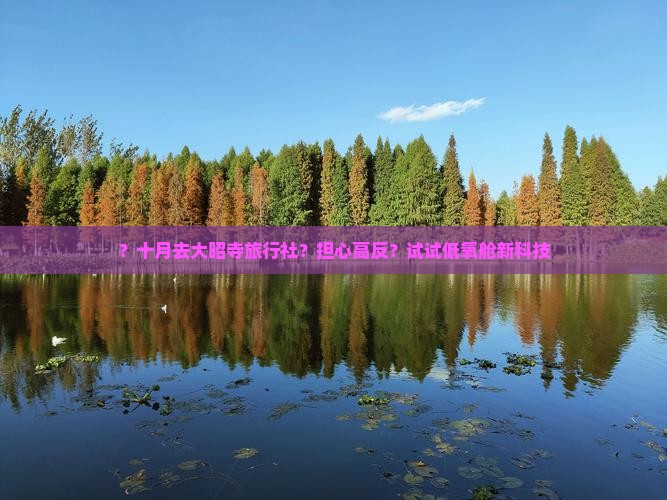 ？十月去大昭寺旅行社？担心高反？试试低氧舱新科技