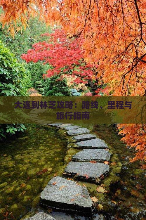 大连到林芝攻略：路线、里程与旅行指南