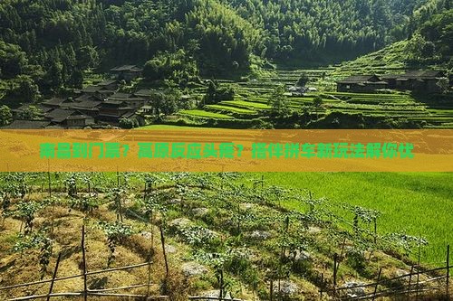 南昌到门票？高原反应头疼？搭伴拼车新玩法解你忧