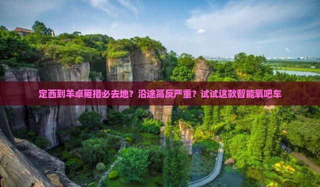 定西到羊卓雍措必去地？沿途高反严重？试试这款智能氧吧车