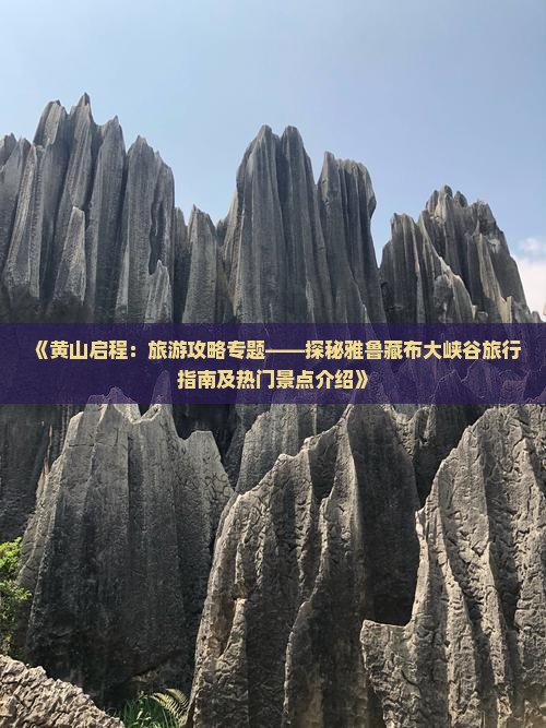 《黄山启程：旅游攻略专题——探秘雅鲁藏布大峡谷旅行指南及热门景点介绍》