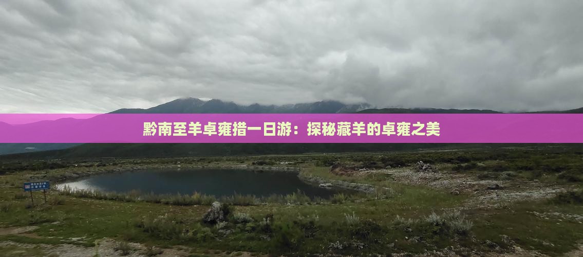 黔南至羊卓雍措一日游：探秘藏羊的卓雍之美