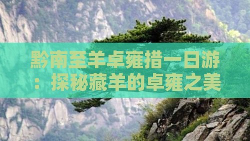 黔南至羊卓雍措一日游：探秘藏羊的卓雍之美