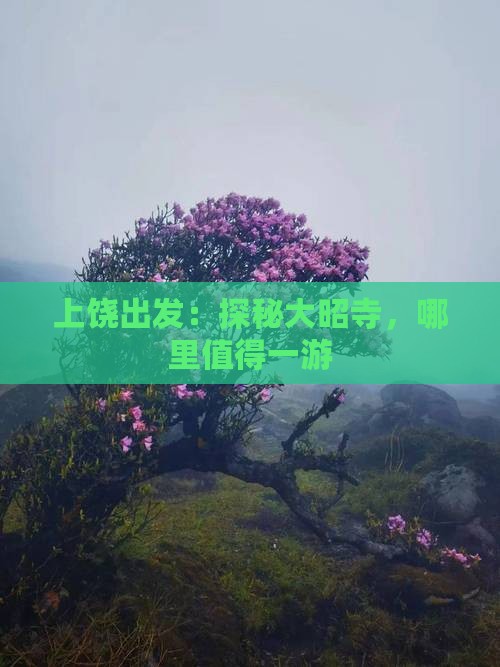 上饶出发：探秘大昭寺，哪里值得一游