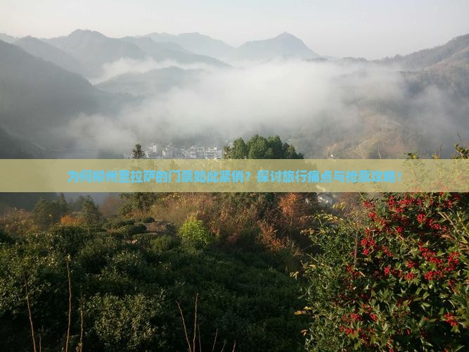 为何柳州至拉萨的门票如此紧俏？探讨旅行痛点与抢票攻略！