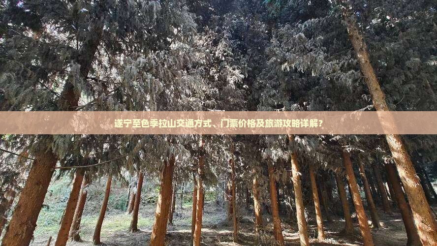 遂宁至色季拉山交通方式、门票价格及旅游攻略详解？