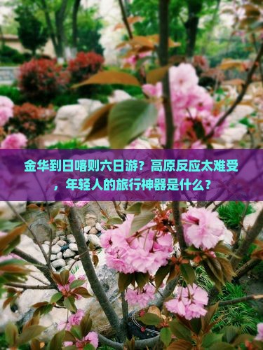 金华到日喀则六日游？高原反应太难受，年轻人的旅行神器是什么？