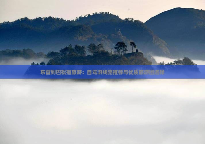 东营到巴松措旅游：自驾游线路推荐与优质旅游团选择