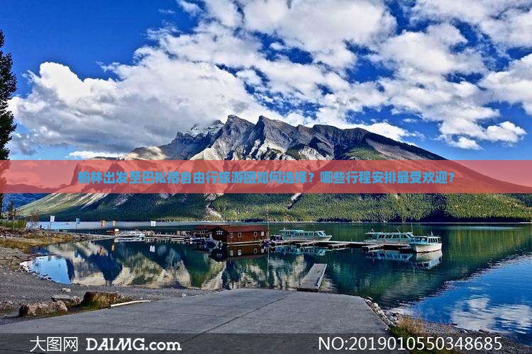 榆林出发至巴松措自由行旅游团如何选择？哪些行程安排最受欢迎？
