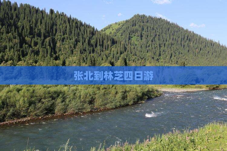 张北到林芝四日游
