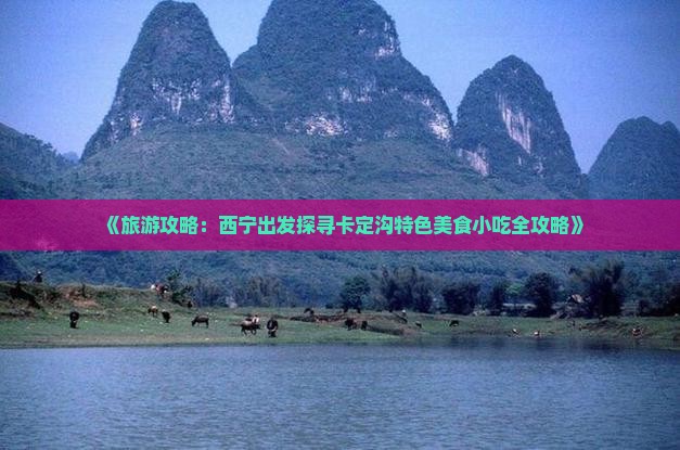 《旅游攻略：西宁出发探寻卡定沟特色美食小吃全攻略》