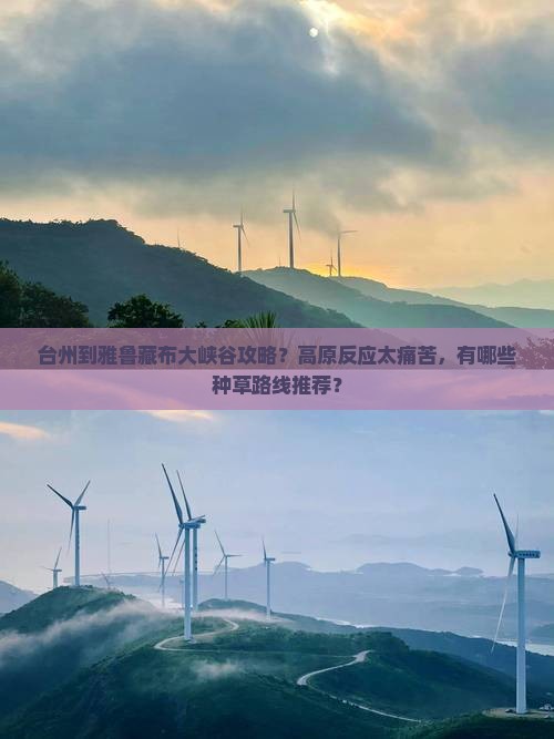 台州到雅鲁藏布大峡谷攻略？高原反应太痛苦，有哪些种草路线推荐？