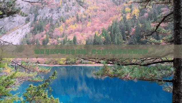 临夏至拉萨旅行全攻略：专业旅行社带你畅游拉萨