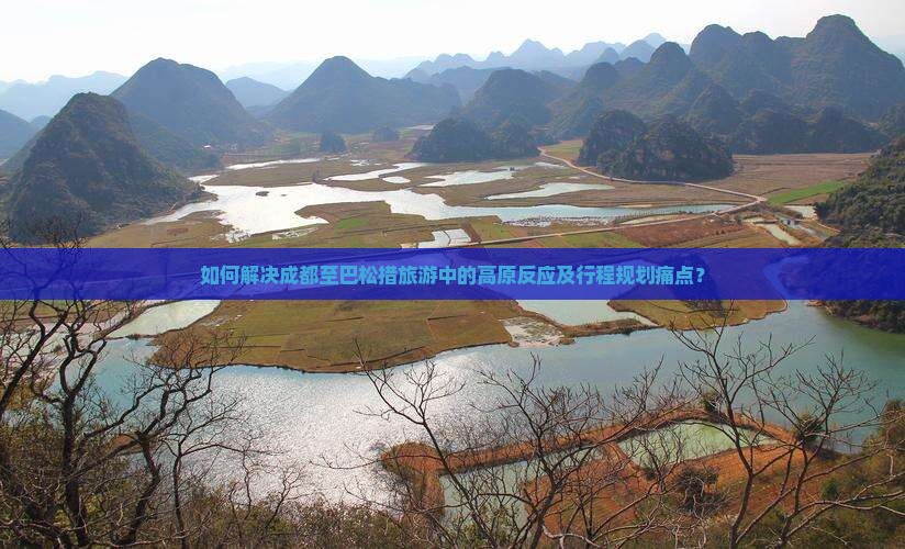 如何解决成都至巴松措旅游中的高原反应及行程规划痛点？