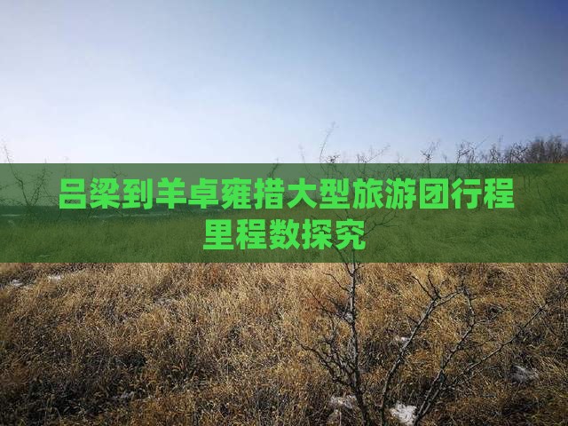 吕梁到羊卓雍措大型旅游团行程里程数探究
