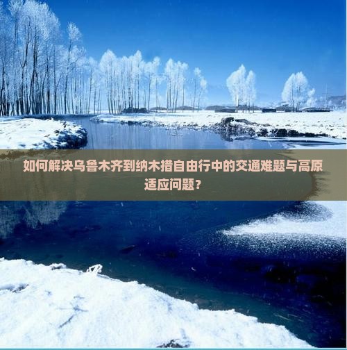 如何解决乌鲁木齐到纳木措自由行中的交通难题与高原适应问题？