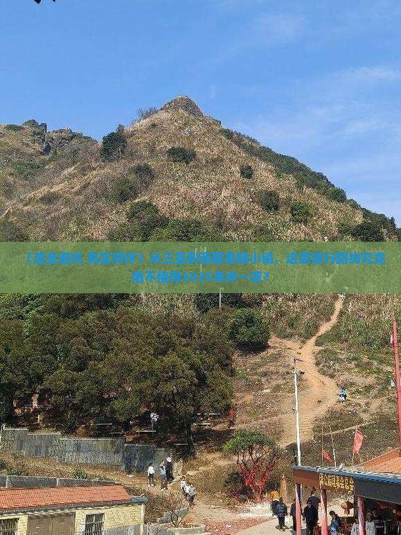 三亚到西藏鲁朗小镇旅游