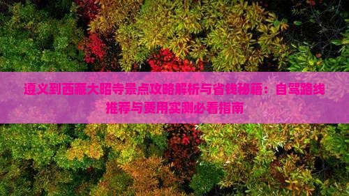 遵义到西藏大昭寺景点