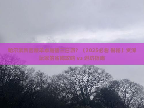 哈尔滨到西藏羊卓雍措三日游