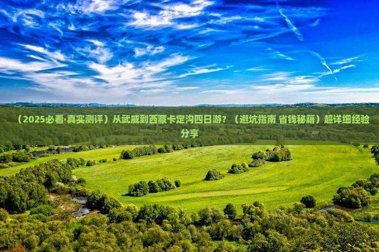 武威去西藏卡定沟四日游