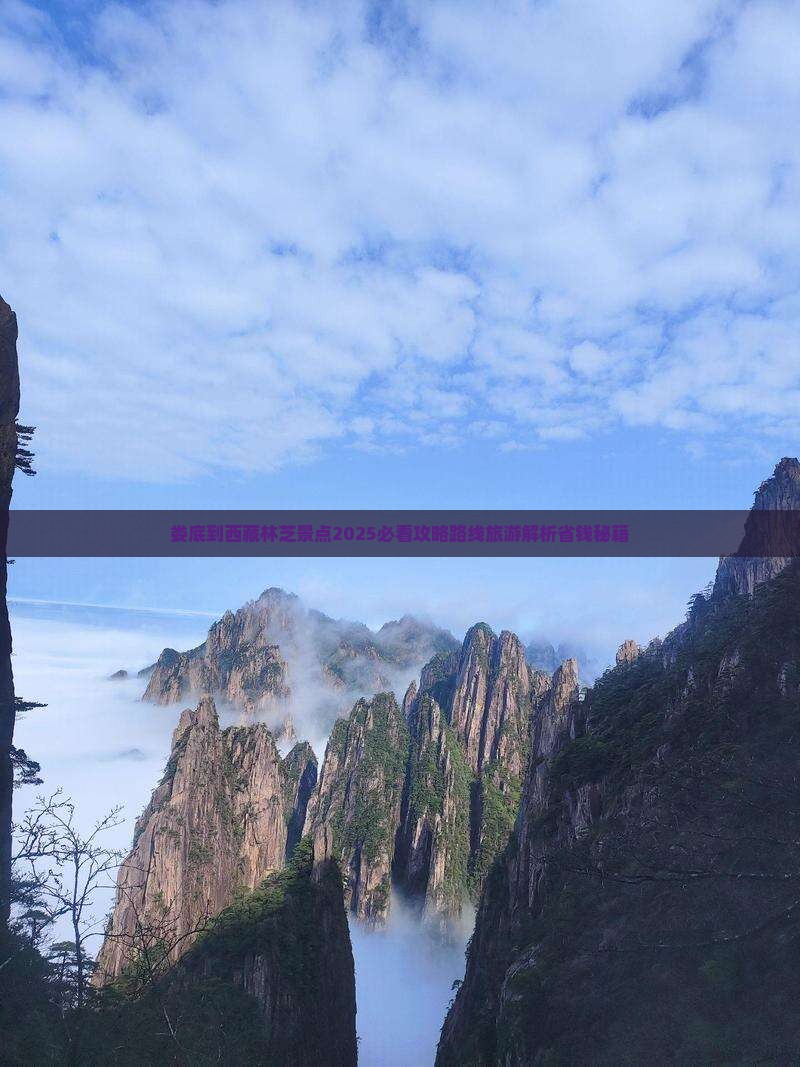 娄底到西藏林芝景点