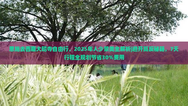 恩施去西藏大昭寺自由行